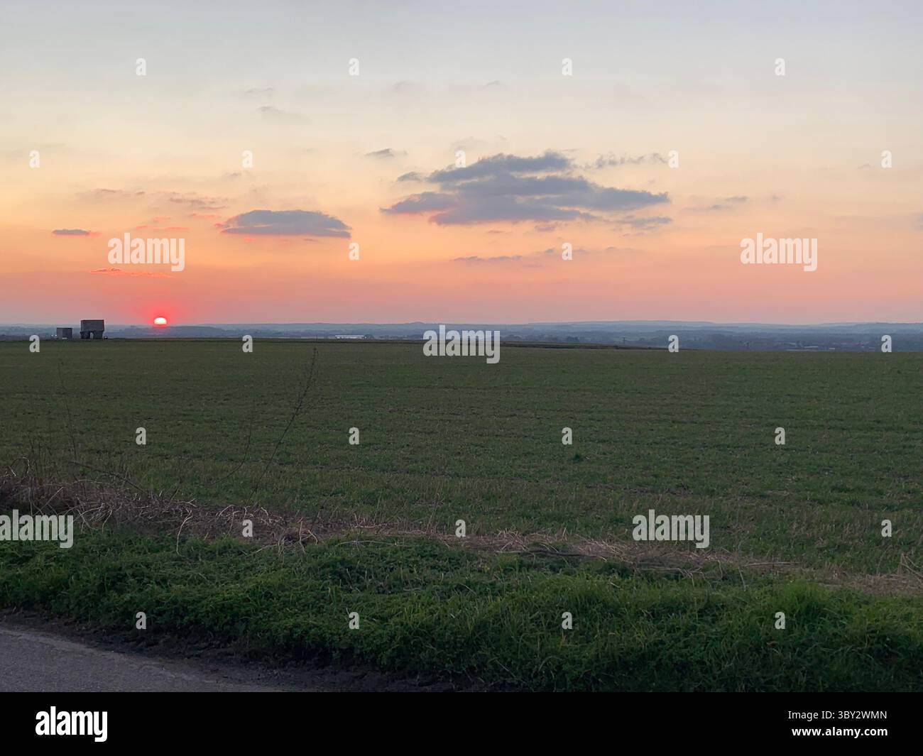 Numerose riprese della campagna, della fauna selvatica e delle giornate divertenti in giro per l'Oxfordshire Foto Stock