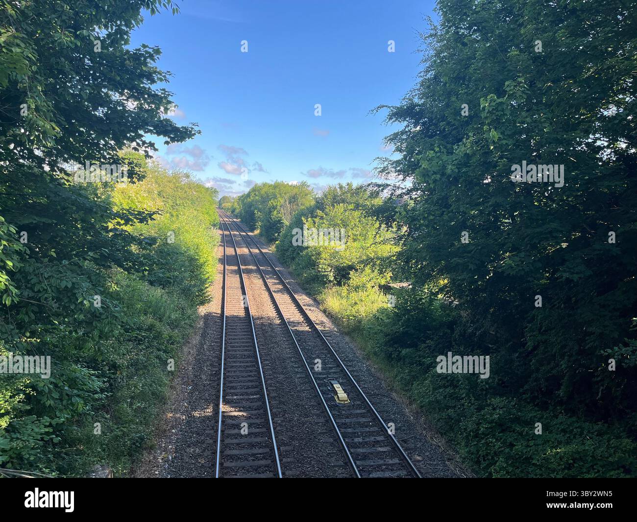 Numerose riprese della campagna, della fauna selvatica e delle giornate divertenti in giro per l'Oxfordshire Foto Stock
