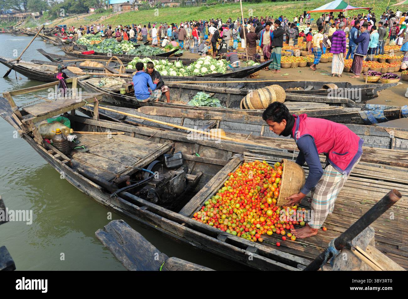 8 febbraio 2022: 8 febbraio 2022. Kanaighat Upazila, Bangladesh: Un giovane venditore sta caricando Tomattos coltivati localmente sulla barca sulla riva del fiume Surma dopo l'alba presso il Kanaighat Upazila di Sylhet, Bangladesh. (Immagine di credito: © MD Rafayat Haque Khan/ZUMA Press Wire) Foto Stock