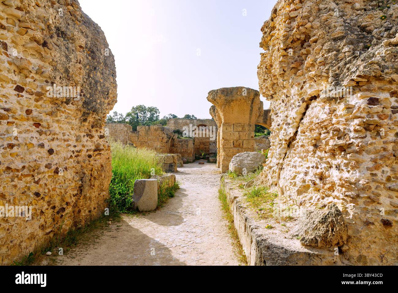 Bagni di Antonino Pio di Cartagine, Tunisia Foto Stock