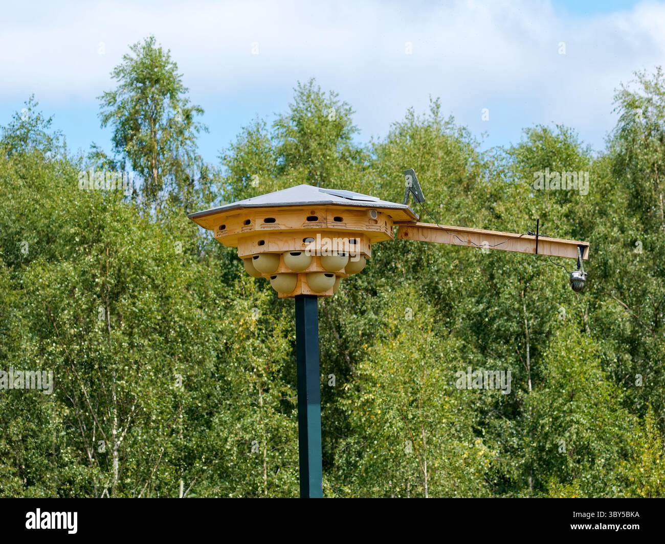 Swift box artificiale a Blashford Lakes, Hampshire, Regno Unito Foto Stock