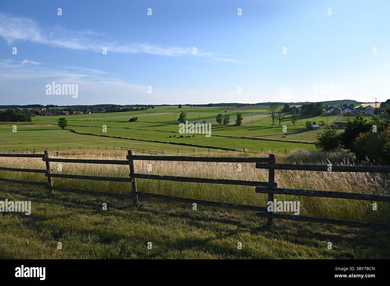 Bellissimo paesaggio illuminato dal sole con cieli azzurri e strada infinita tra campi di grano nella campagna bavarese (Konradshofen, Baviera, Germania) Foto Stock