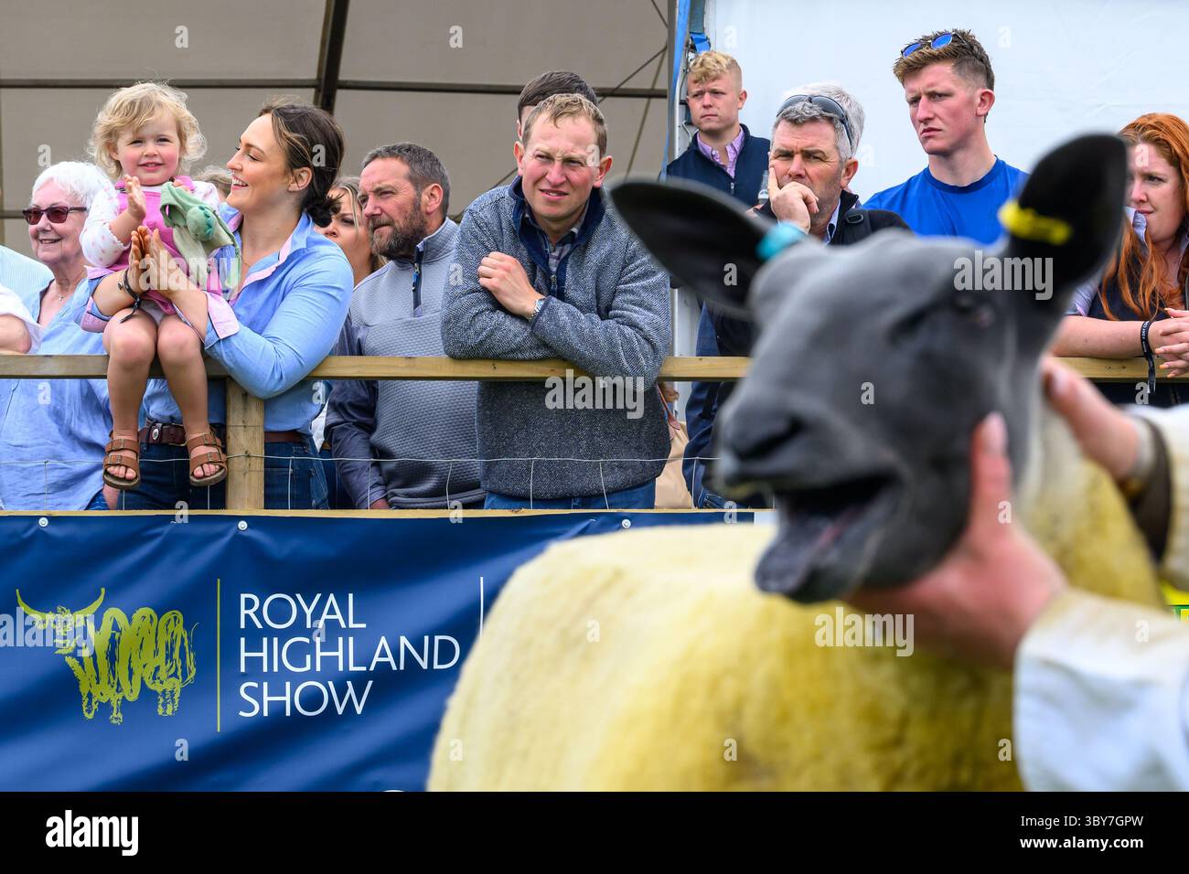 Royal Highland Show, Royal Highland Centre, Ingliston, Edimburgo, Scozia, Regno Unito Foto Stock