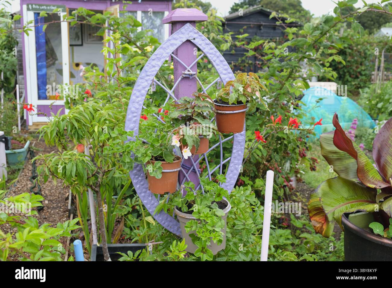 Giardino colorato con piantine ovali ricamate creativamente adornate con fiori in vaso e piante trainanti Foto Stock