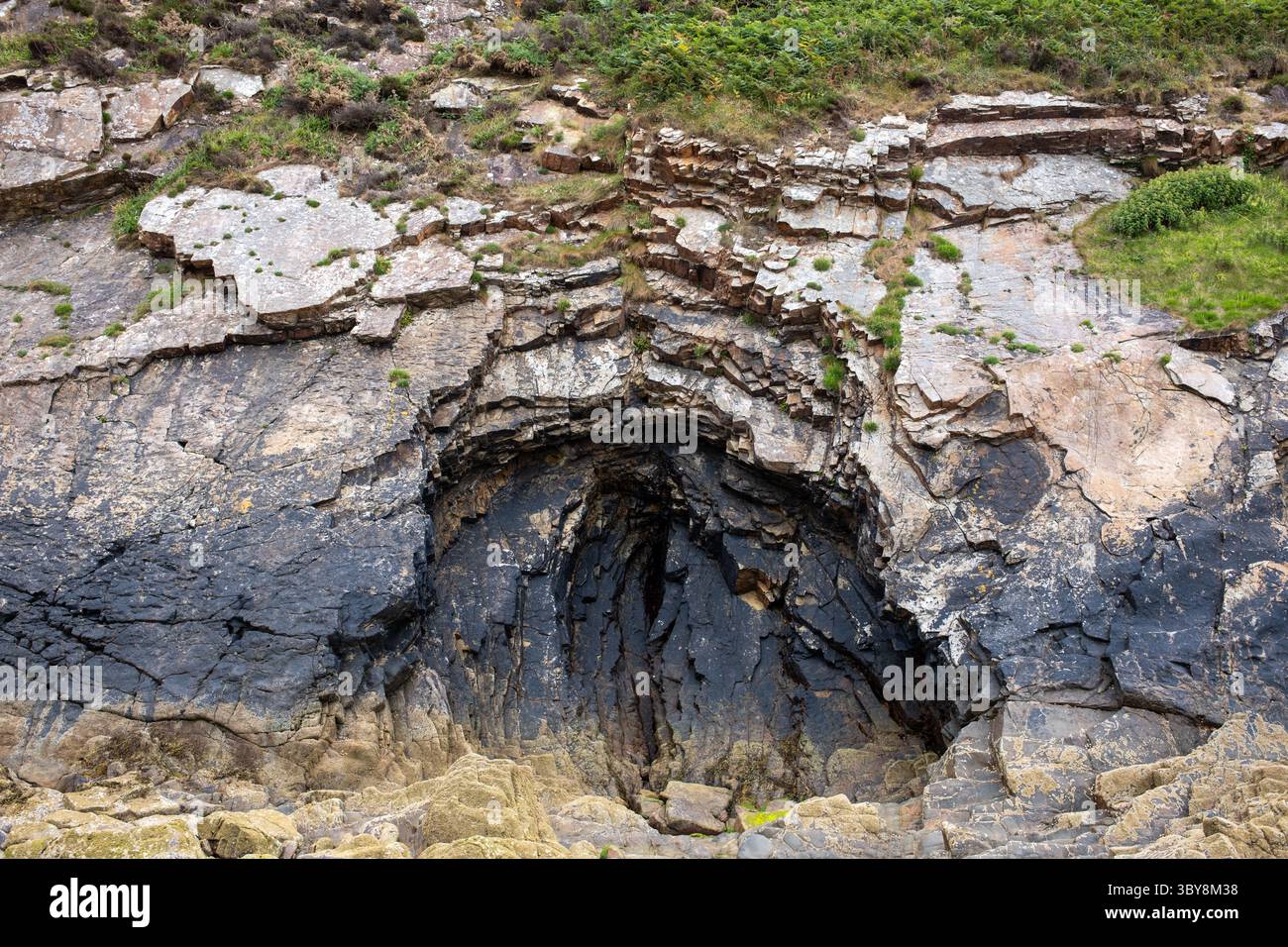Formazioni rocciose sulla spiaggia di Little Haven nel Pembrokeshire Galles occidentale Regno Unito Foto Stock