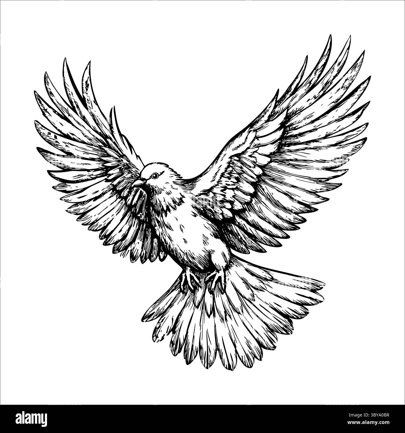 Uno schizzo dettagliato di un uccello in volo, che mostra le sue ali spalmate. L'uccello ha un corpo arrotondato e un becco distinto, sottolineandone la grazia Illustrazione Vettoriale