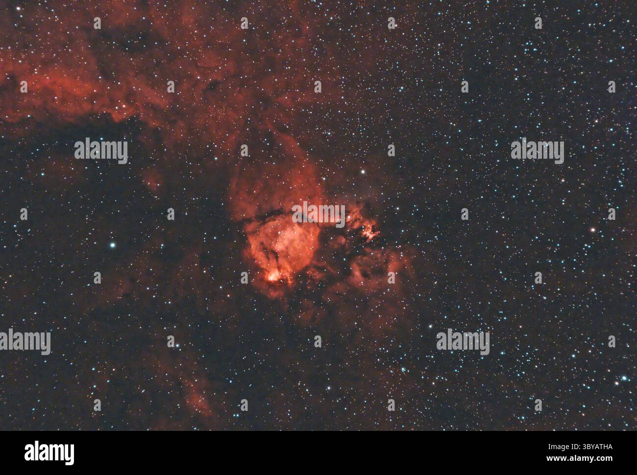 La nebulosa Fish Head o Northern Bear Nebula, un grande sistema di formazione stellare di gas e polvere situato lungo il braccio a spirale Perseo della via Lattea Foto Stock