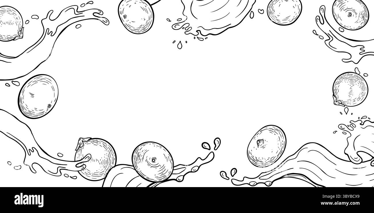 Immagine vettoriale con contorno di bacche di acai e spruzzi di succo isolata su bianco. Bacche amazzoniche fresche, frutta tropicale disegnata a mano in bianco nero Illustrazione Vettoriale