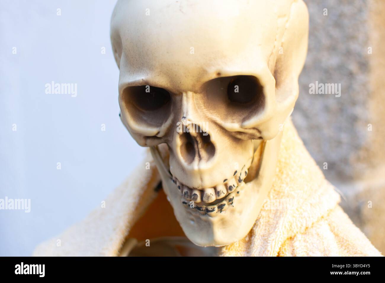 Skeleton Face Closeup Spooky Halloween Mask struttura ossea decorativa dettagliata del teschio di Halloween Foto Stock