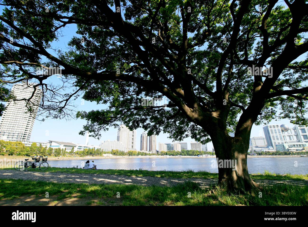Vita quotidiana in Giappone Una coppia che si rilassa sul frangiflutti del Parco Odaiba con una vista panoramica del Parco sul mare di Odaiba Foto Stock