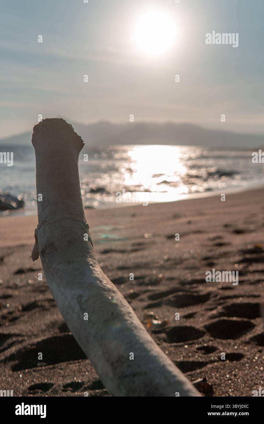Un pezzo di mare su una spiaggia sabbiosa che guarda all'oceano con montagne e luce del sole sullo sfondo. Foto Stock