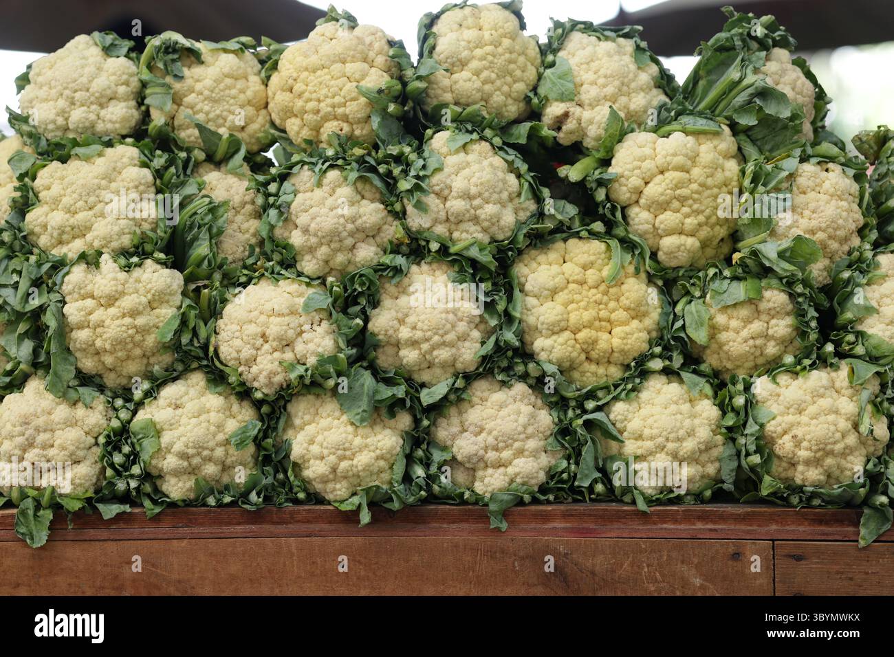 I cavolfiori sono impilati in un vassoio di legno I cavolfiori sono impilati in vassoi di legno pronti per la vendita sul mercato. Foto Stock