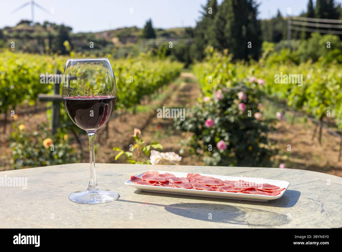 Un bicchiere di vino rosso siede su un tavolo di pietra accanto a un piatto di carne a fette. Sullo sfondo, un vigneto si estende sotto un cielo azzurro. Foto Stock
