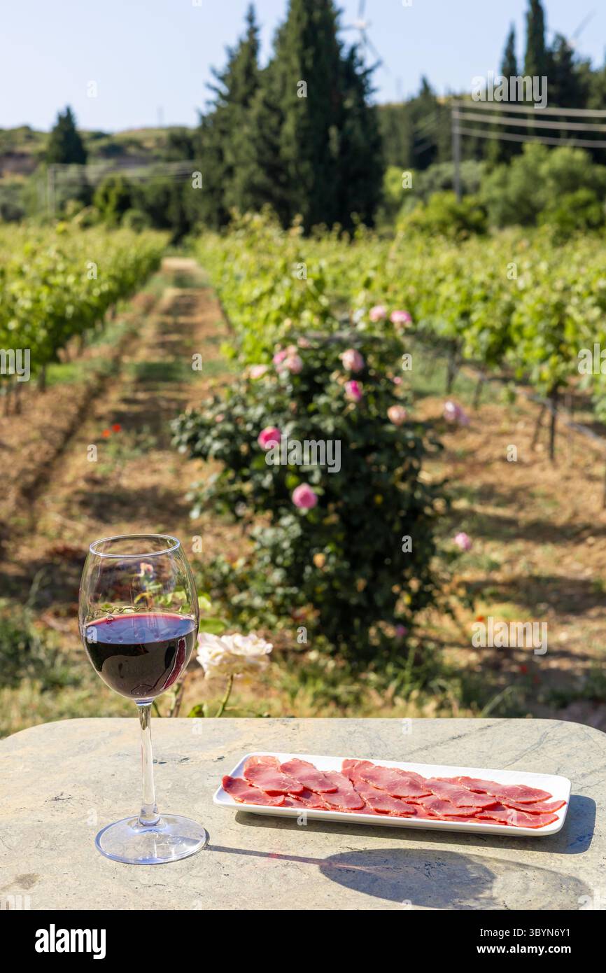Un bicchiere di vino rosso siede su un tavolo di pietra accanto a un piatto di carne a fette. Sullo sfondo, un vigneto si estende sotto un cielo azzurro. Foto Stock