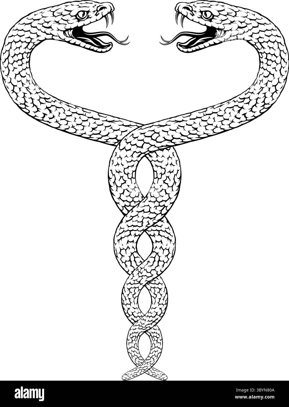 Snakes Two Intertwined Helix Vintage Illustration Illustrazione Vettoriale