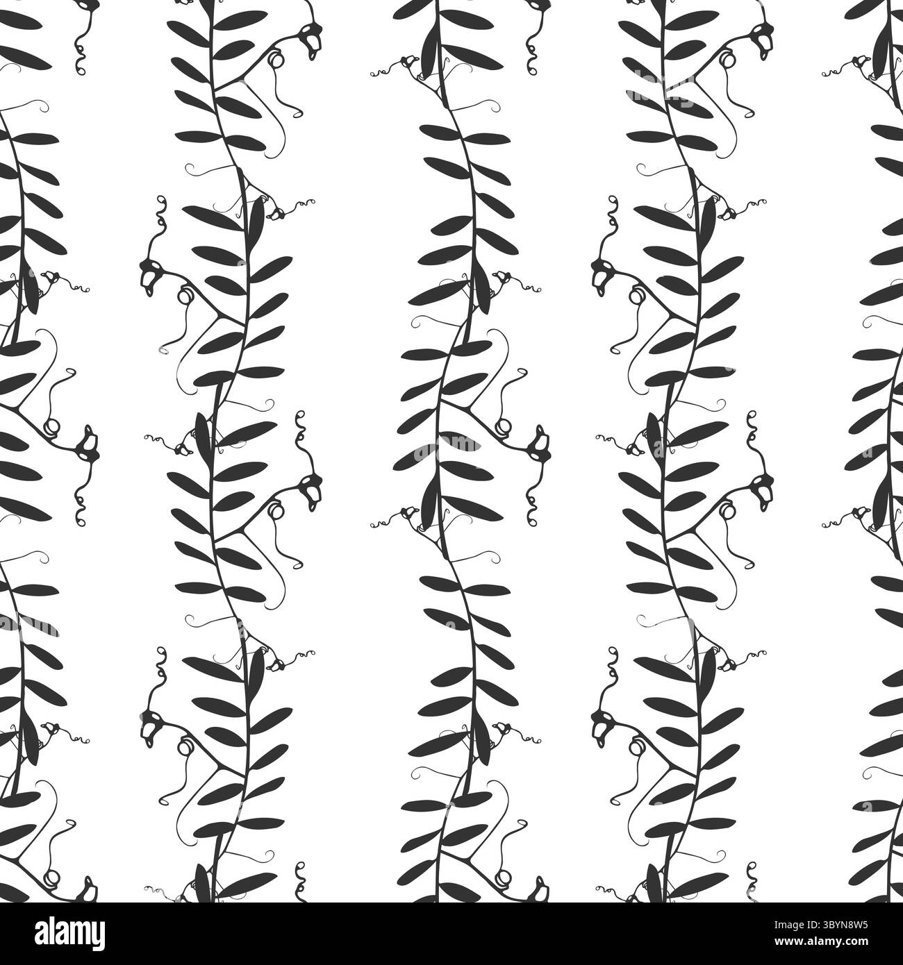 Modello con rami di una pianta erbacea con tendini ricci e foglie, possibilmente pisello di topo. Ornamento, tessuto. Silhouette nera su dorso bianco Illustrazione Vettoriale