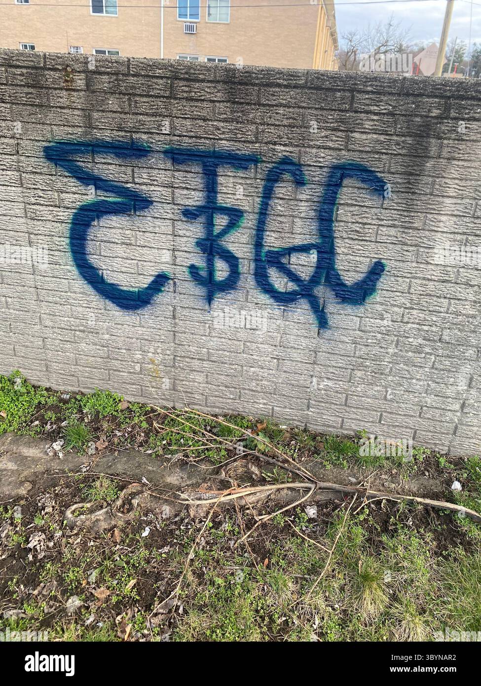 5PN è un'alleanza di gang di strada di Detroit composta da piccole cricche Crip e tag Crews nel 48219 (Five Points), tra cui W7M, ScoreGang, ETGC e molti altri. - Immagine stock catturata con smartphone