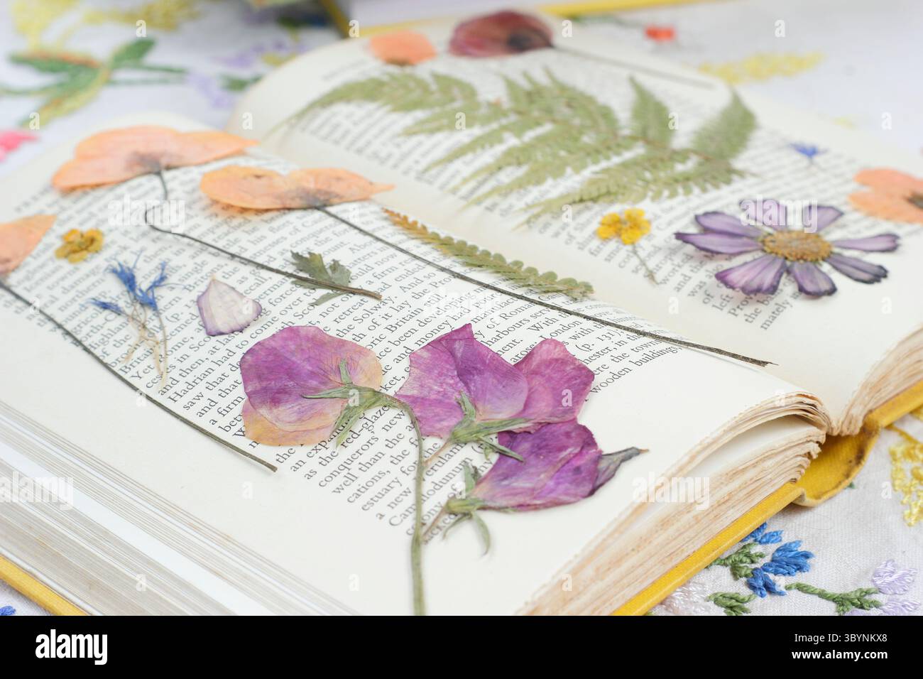 Foglie di felce secche pressate e fiori, tra cui papaveri, cosmo, piselli dolci e petali di fiori di mais. Foto Stock