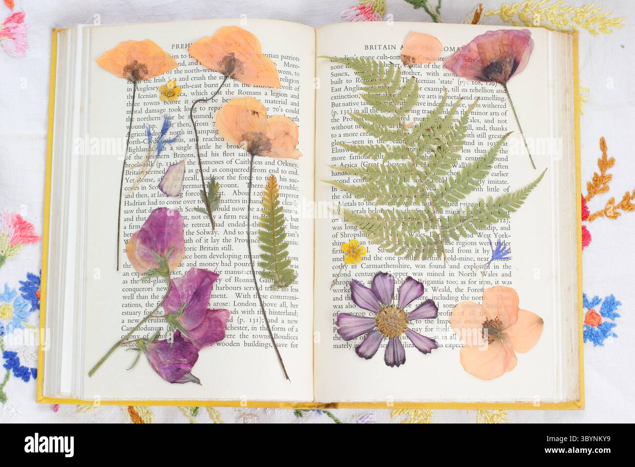 Foglie di felce secche pressate e fiori, tra cui papaveri, cosmo, piselli dolci e petali di fiori di mais. Foto Stock