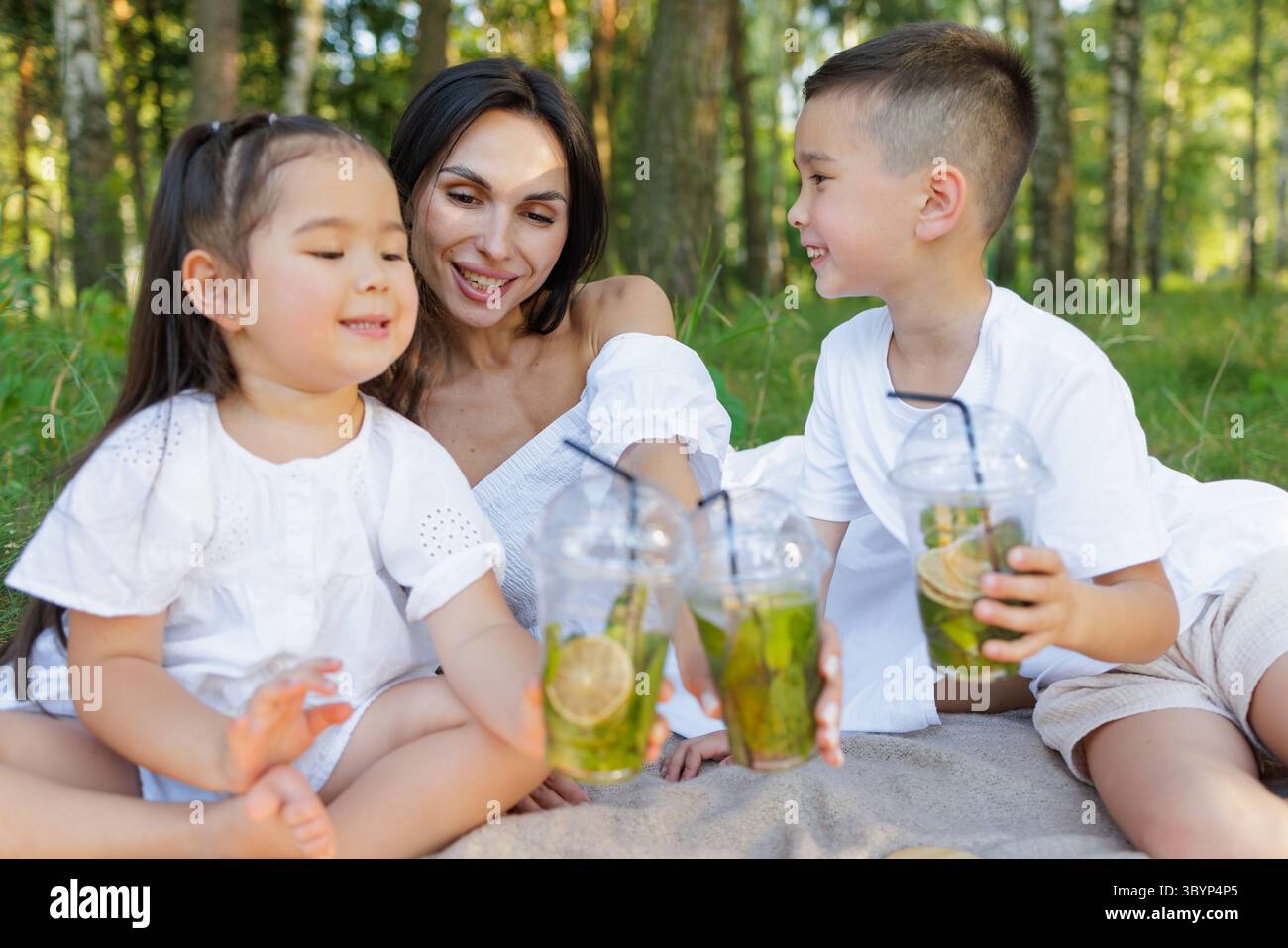 Picnic in famiglia in estate, mamma e bambini sorridono con la limonata e si divertono all'aria aperta insieme Foto Stock