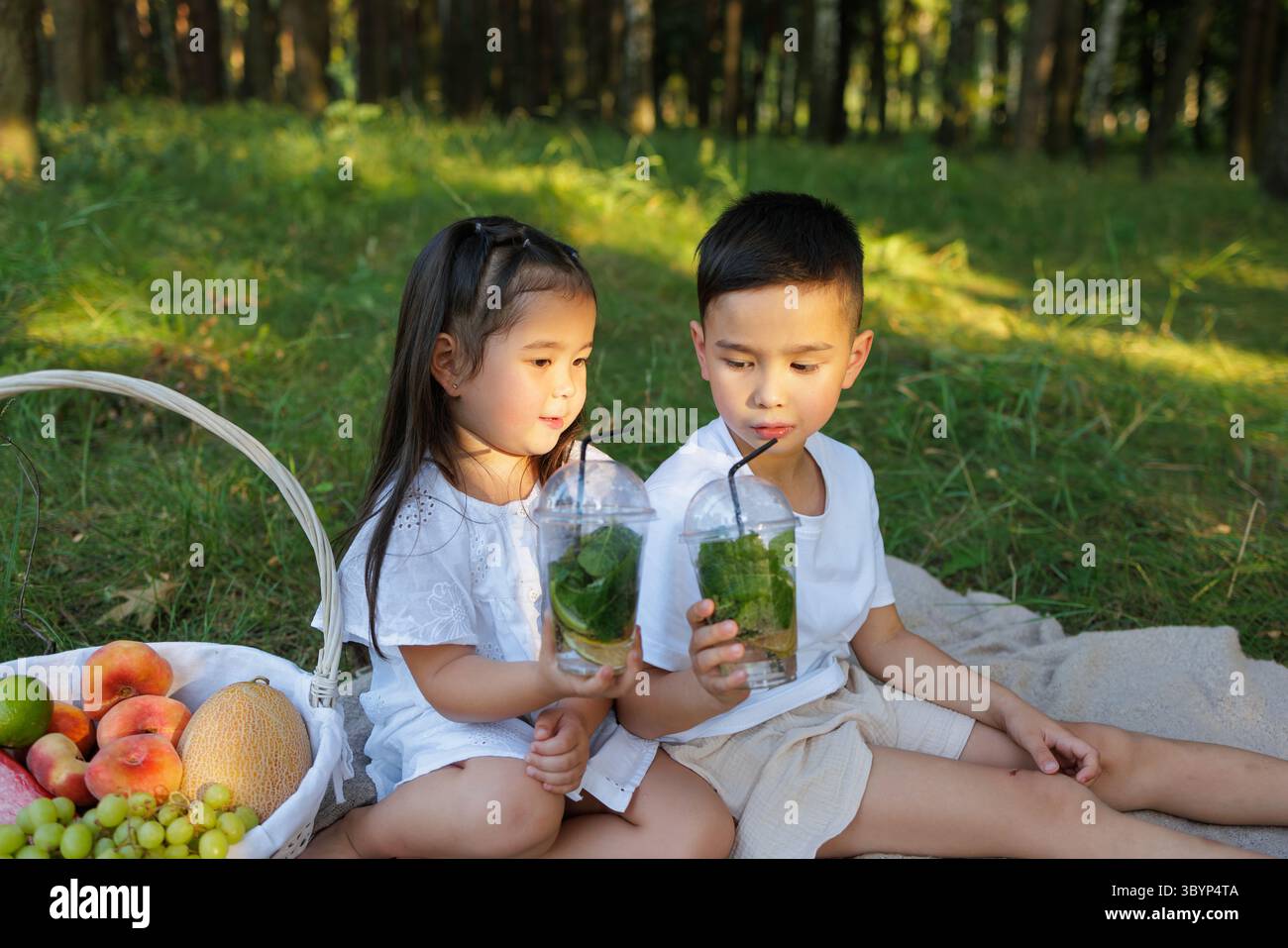 Due bambini condividono una bevanda salutare e frutta fresca su una coperta da picnic nell'erba durante una giornata estiva di sole Foto Stock