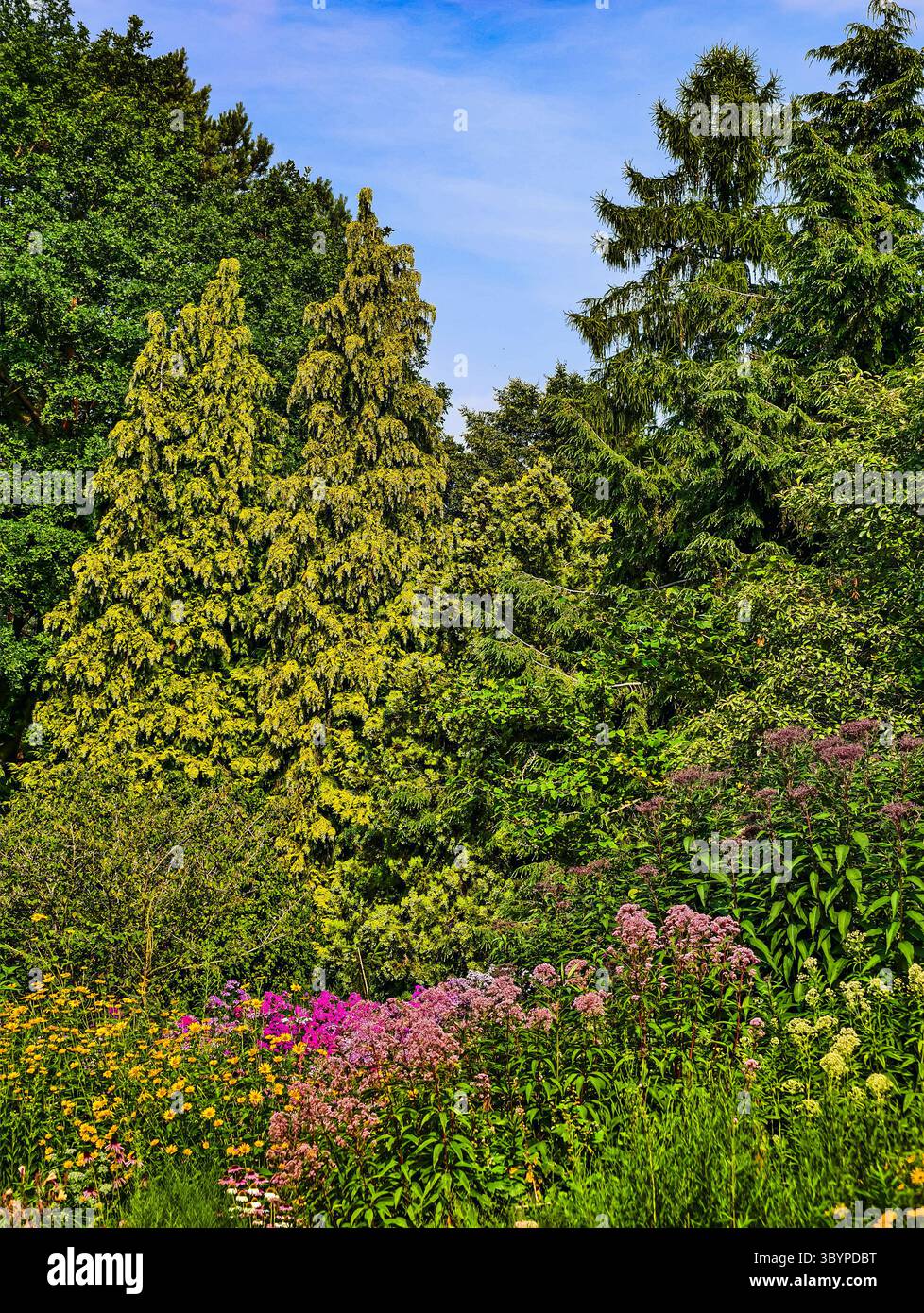 Piante fiorenti con alberi verdi lussureggianti sotto un cielo azzurro - Fotografia naturalistica ad alta risoluzione ideale per sfondi digitali e contenuti visivi creativi Foto Stock