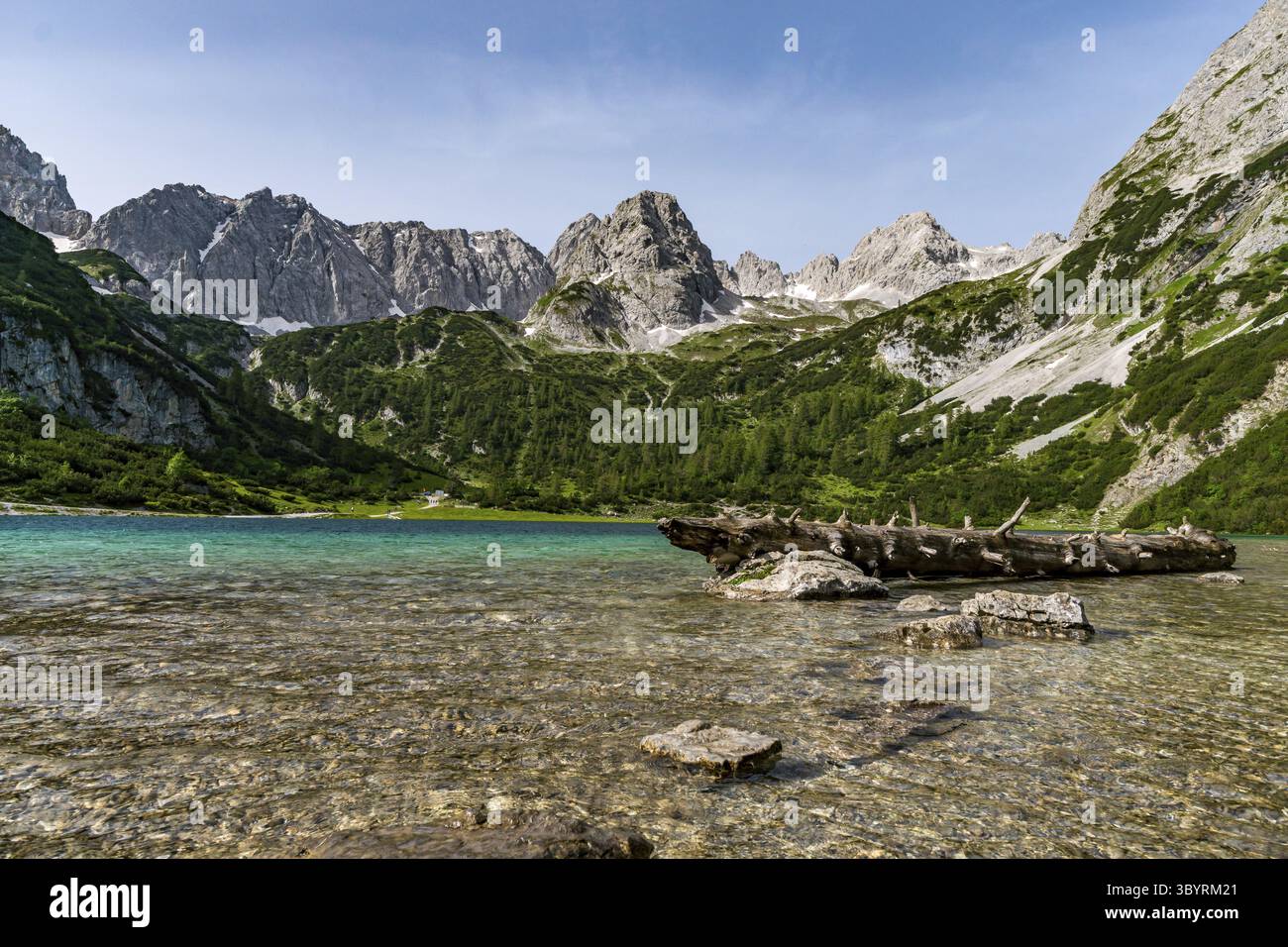 Tour in montagna al Vorderer Drachenkopf nelle montagne Mieminger vicino a Ehrwald nella Tiroler Zugspitz Arena Foto Stock