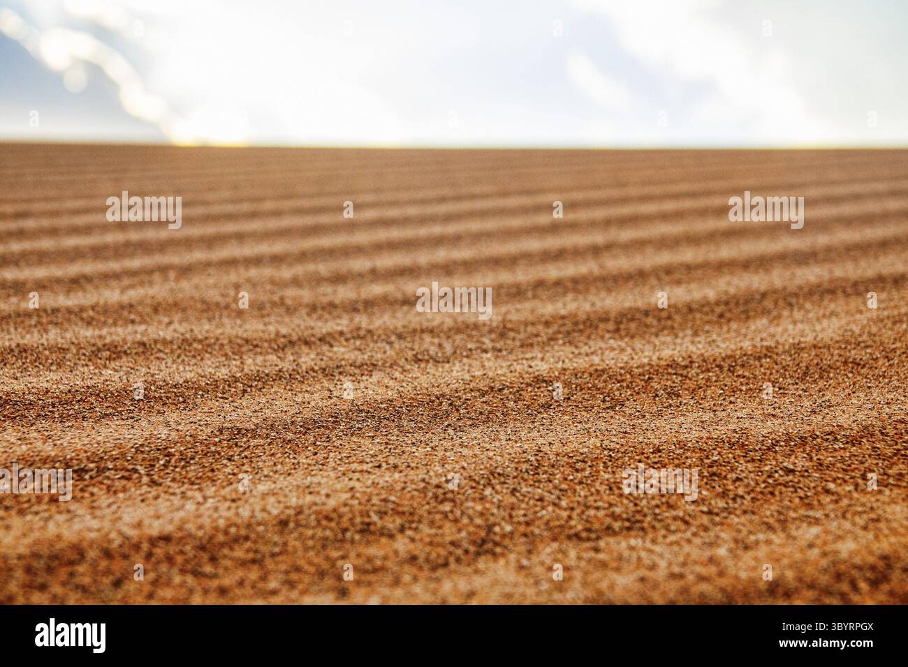 Deserti rossi della parte sud-orientale della penisola arabica. Processi eoliani. Segni di ondulazione (ondulazione dritta) e metarippli di sabbia (barkhan) in J. Foto Stock