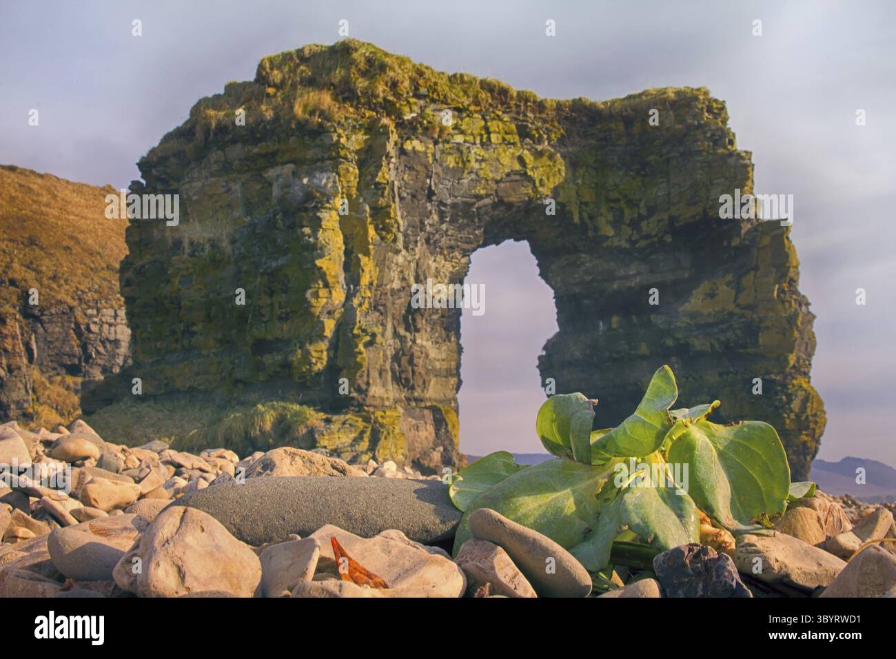 Arco di Steller. Imponente arcata in pietra 20 m sulle rive dell'Oceano Pacifico. Isola Di Bering. Isole Commander, formazione geologica, meraviglia naturale, freak di n Foto Stock