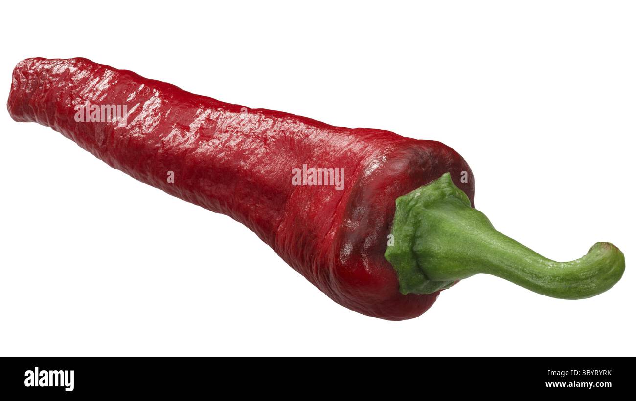 Mirch Kashmir Peperoncino (Capsicum annuum frutta), isolata Foto Stock