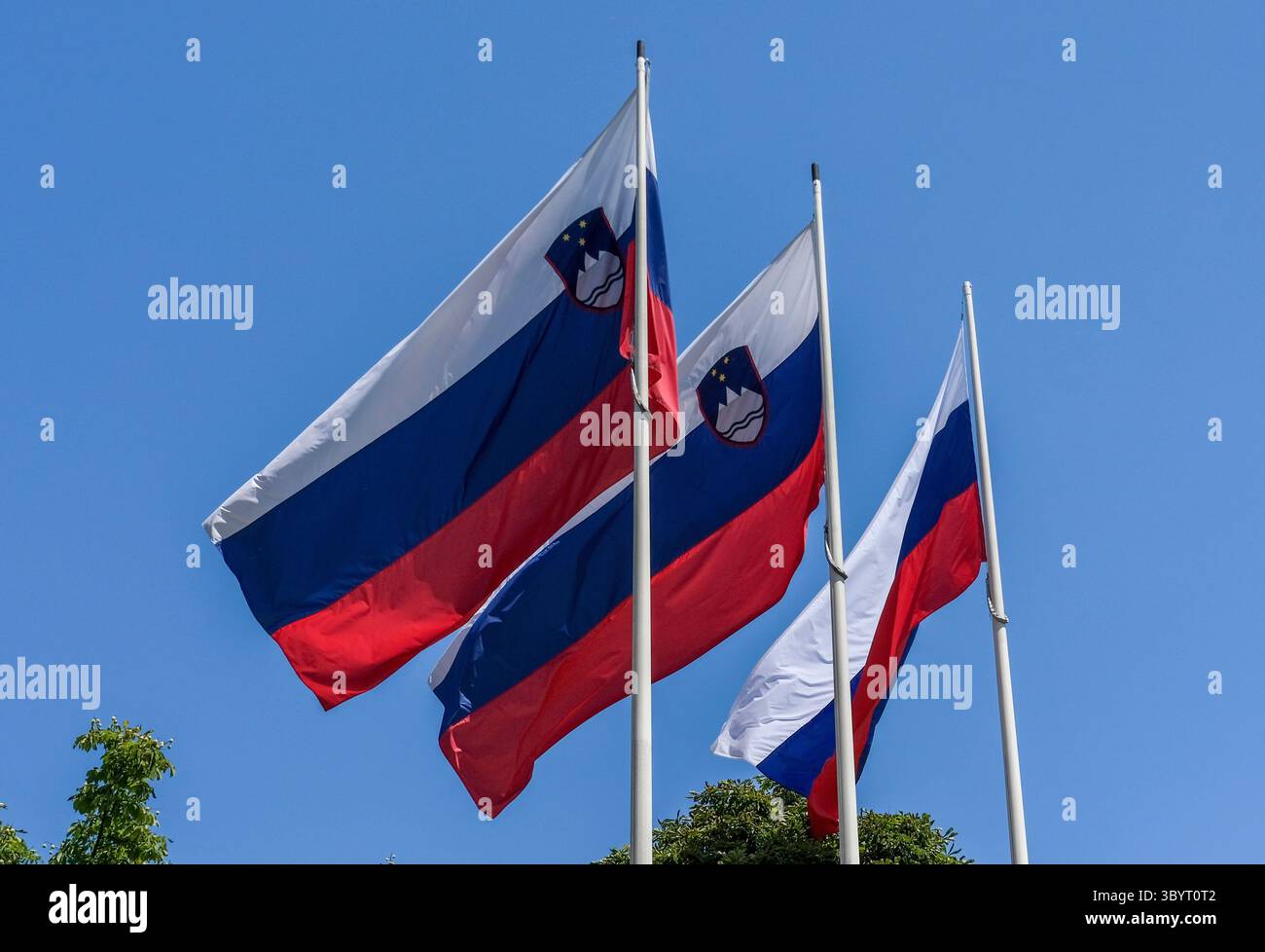 Ljubliana, Slovenia. 14 luglio 2025. Tre bandiere della Slovenia volano di fronte a un cielo blu. La bandiera slovena è un tricolore orizzontale in bianco, blu e rosso. Nella parte superiore sinistra della bandiera si trova lo stemma sloveno. Lo stemma mostra il monte Triglav, due onde blu che simboleggiano il mare Adriatico e tre stelle dorate che rappresentano i conti di Cilli. Crediti: Jens Kalaene/dpa/Alamy Live News Foto Stock