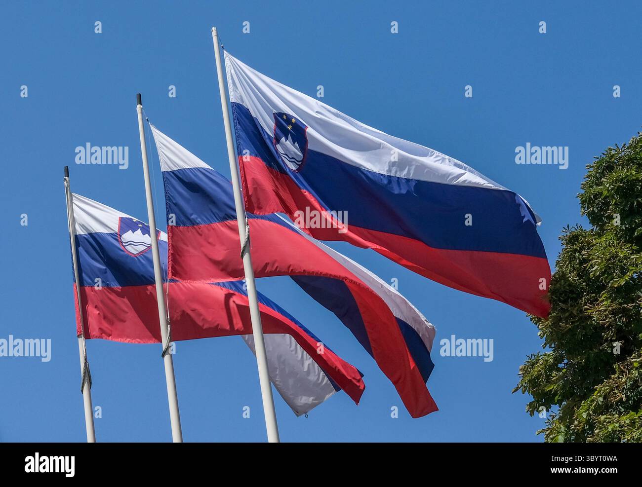 Ljubliana, Slovenia. 14 luglio 2025. Tre bandiere della Slovenia volano di fronte a un cielo blu. La bandiera slovena è un tricolore orizzontale in bianco, blu e rosso. Nella parte superiore sinistra della bandiera si trova lo stemma sloveno. Lo stemma mostra il monte Triglav, due onde blu che simboleggiano il mare Adriatico e tre stelle dorate che rappresentano i conti di Cilli. Crediti: Jens Kalaene/dpa/Alamy Live News Foto Stock