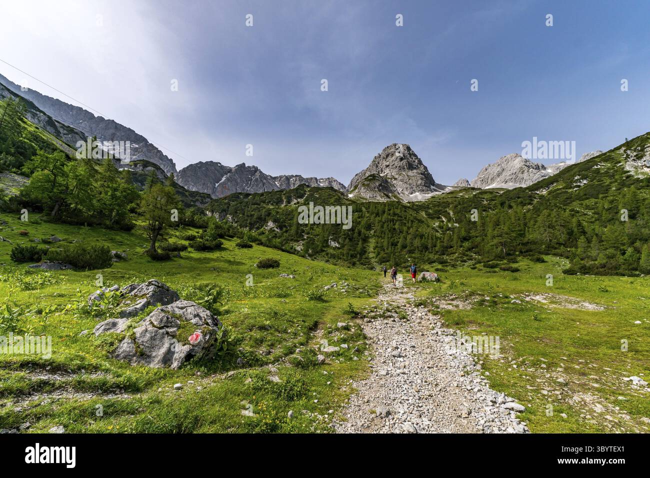 Tour in montagna al Vorderer Drachenkopf nelle montagne Mieminger vicino a Ehrwald nella Tiroler Zugspitz Arena Foto Stock
