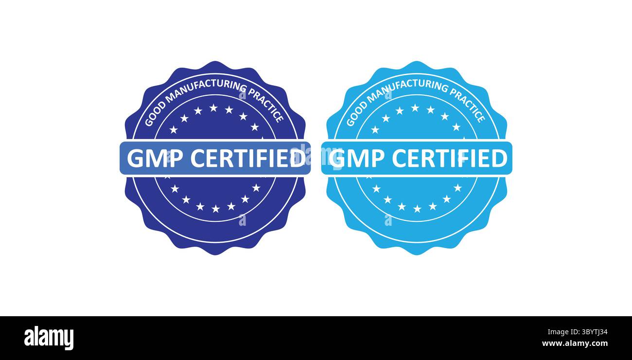 Distintivi certificati GMP per il controllo qualità e gli standard di prodotto Illustrazione Vettoriale