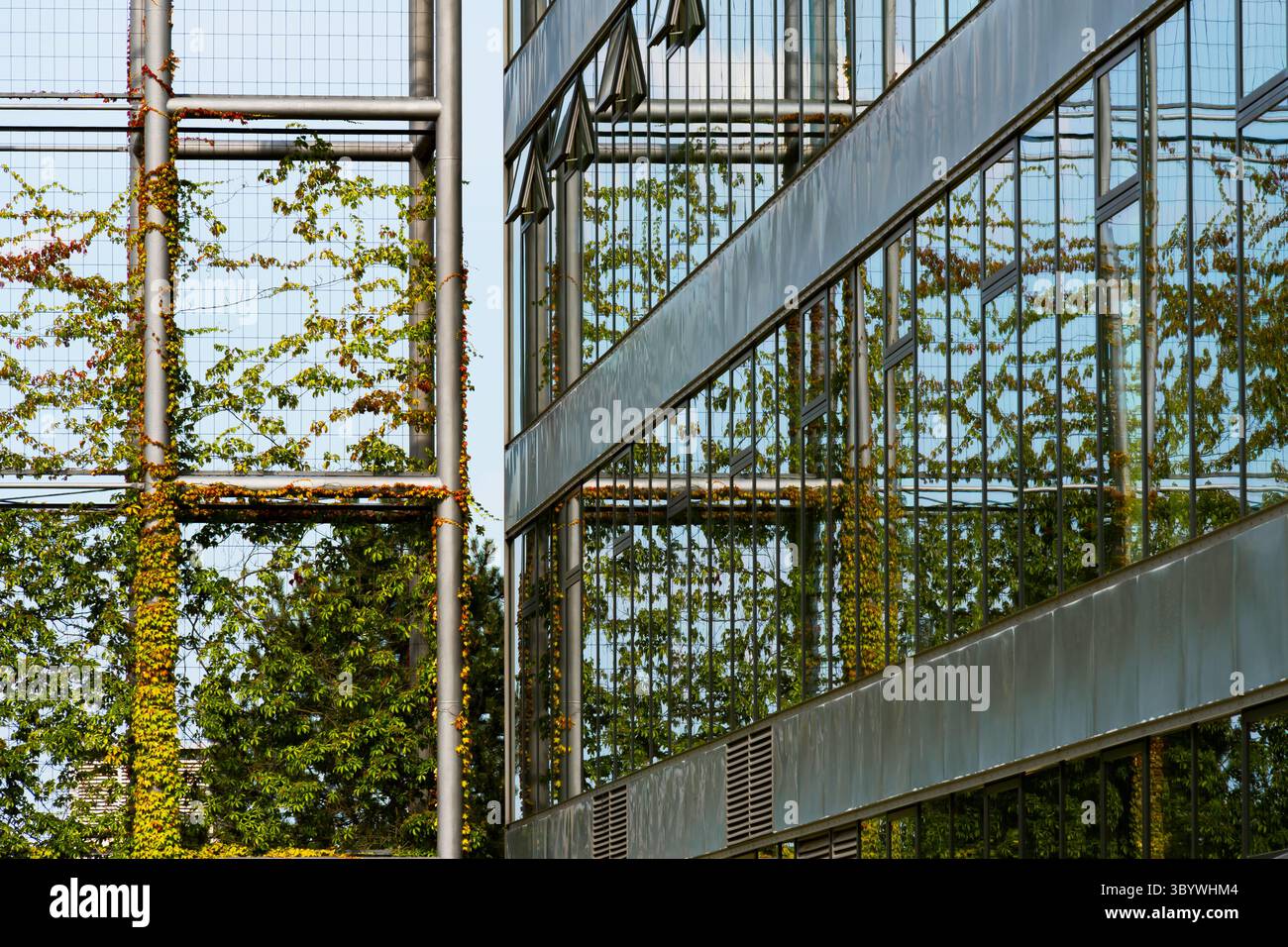 Edificio in vetro che riflette la facciata verde e la struttura metallica a griglia Foto Stock
