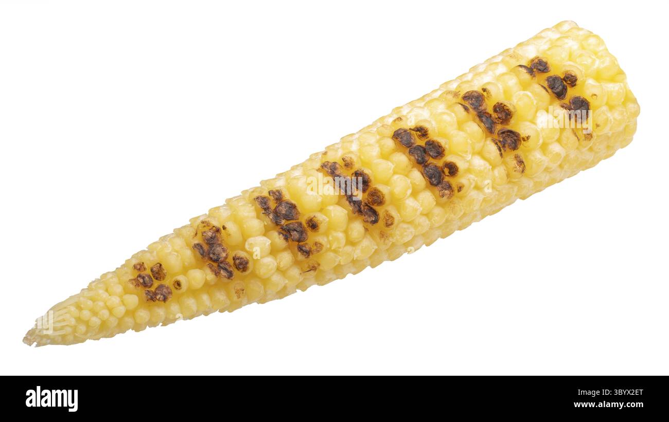 Grigliata di bambino di tutoli di mais (mais immaturi orecchio), isolata Foto Stock