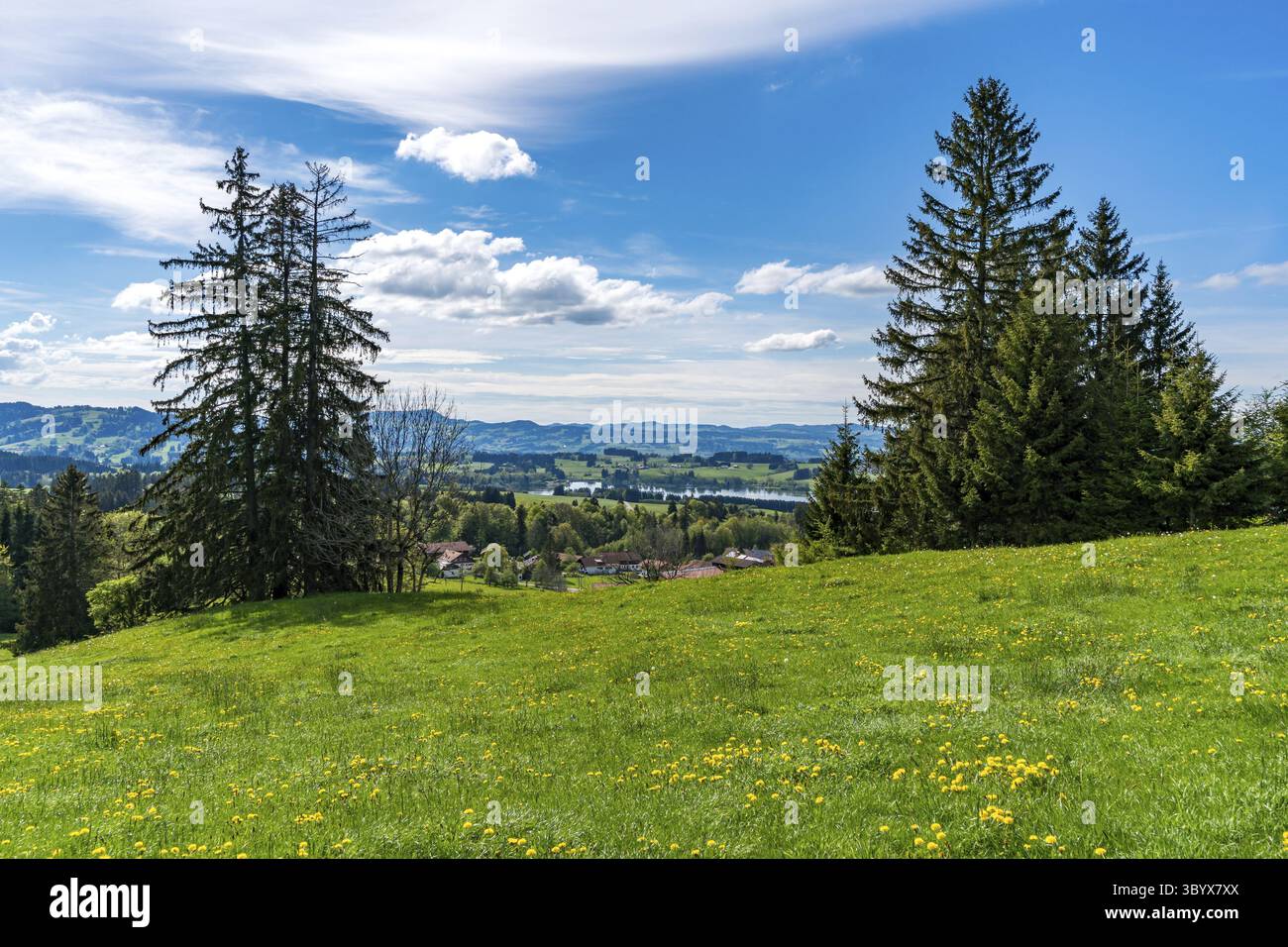 Bellissima escursione lungo il lago Rottachsee con sentiero di burroni fino alle rovine di Burgkranzegg nella regione di Allgau Foto Stock