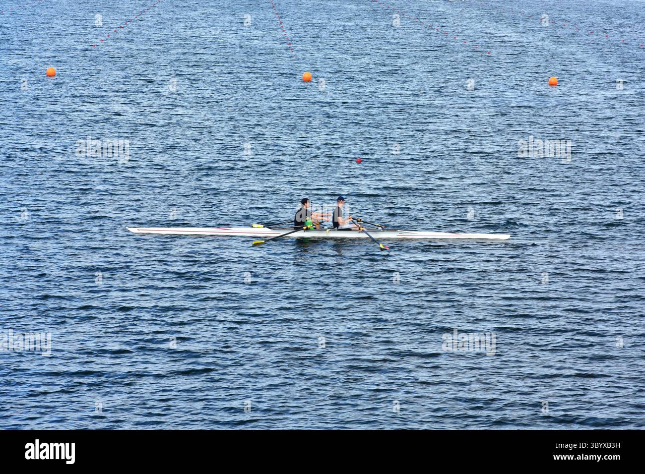 Vista ravvicinata di due uomini che vogano una barca in moto sincronizzato sull'acqua del lago, parte di un evento di canottaggio professionale o di un corso di formazione. Foto Stock