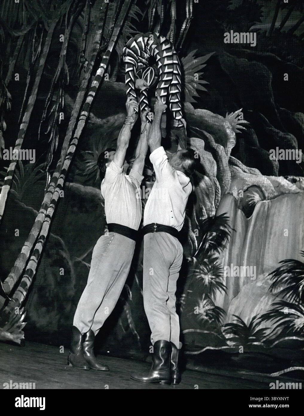 15 dicembre 1968 - The Snake in Piccadilly Circus: Non ci si aspetterebbe di trovare un serpente nella "giungla" dei mattoni e del mortaio nel quartiere Piccadilly Circus di Londra, ma questa foto dimostra che vi sbagliate. Questa è Rose Llanos, ballerina metà cinese e metà francese che si trova sotto i 5 piedi di altezza e pesa meno di sette pietre. Indossando il suo costume serpente stretto, imita i movimenti sinuosi del serpente e viene gettata sul palco del Prince of Wales Theatre ogni sera dai suoi due compagni muscolari. (Immagine di credito: © Keystone Press Agency/ZUMA Press Wire) Foto Stock
