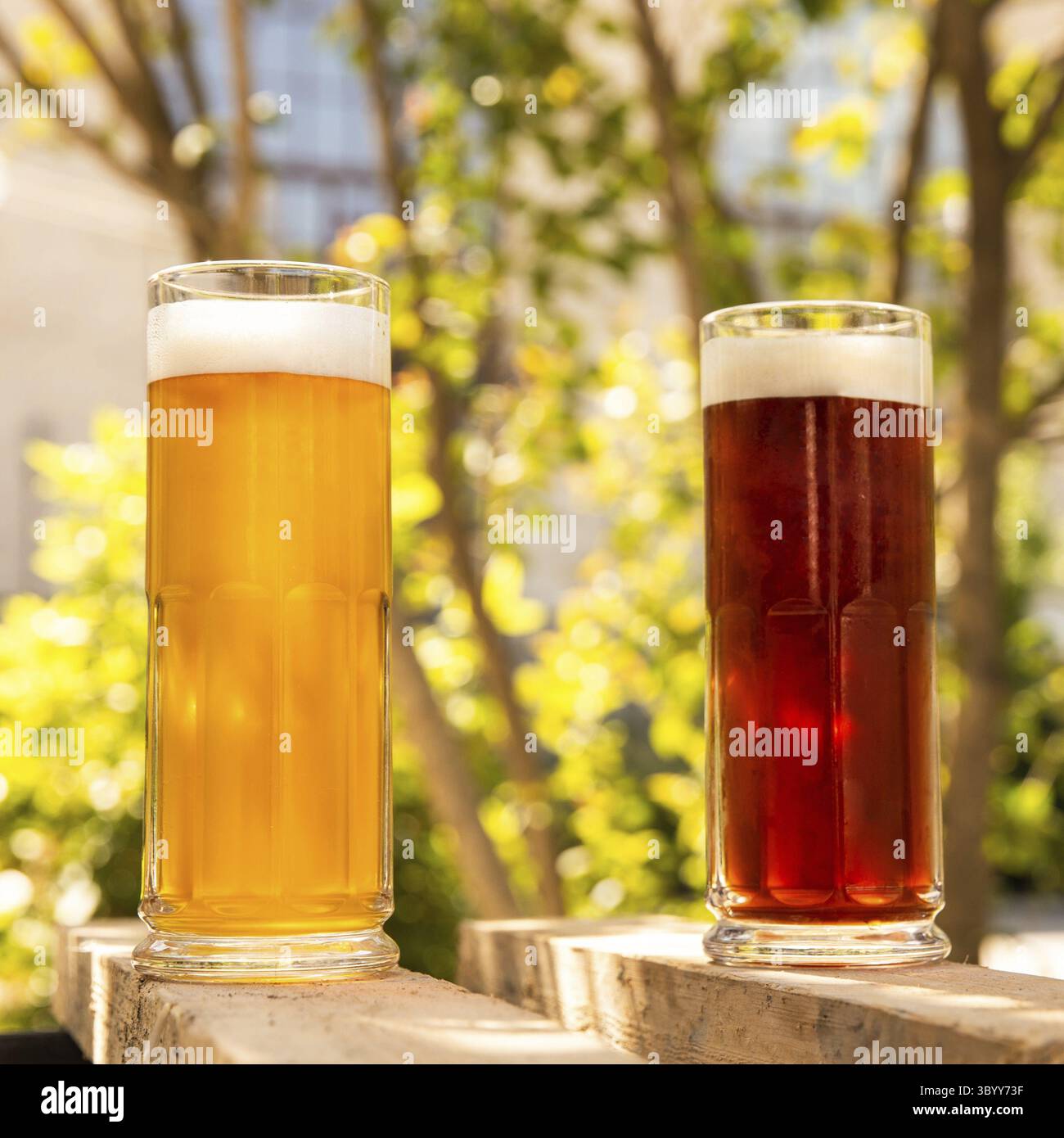 Birra bianca e nera fianco a fianco con sfondo verde Foto Stock