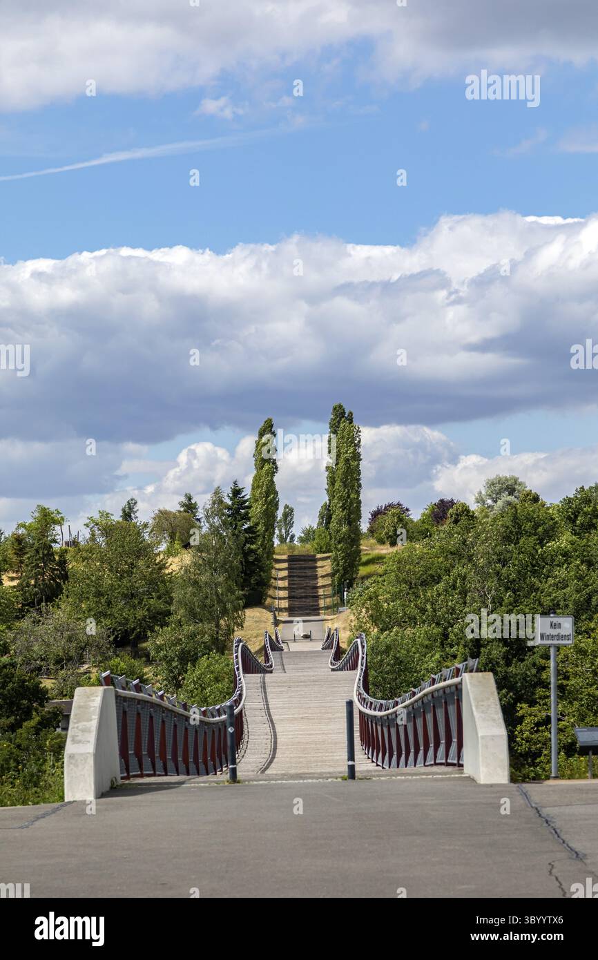 Ponte di coda del drago sul sito di Buga Neue Landschaft vicino a Ronneburg, Turingia, Germania, UE Foto Stock