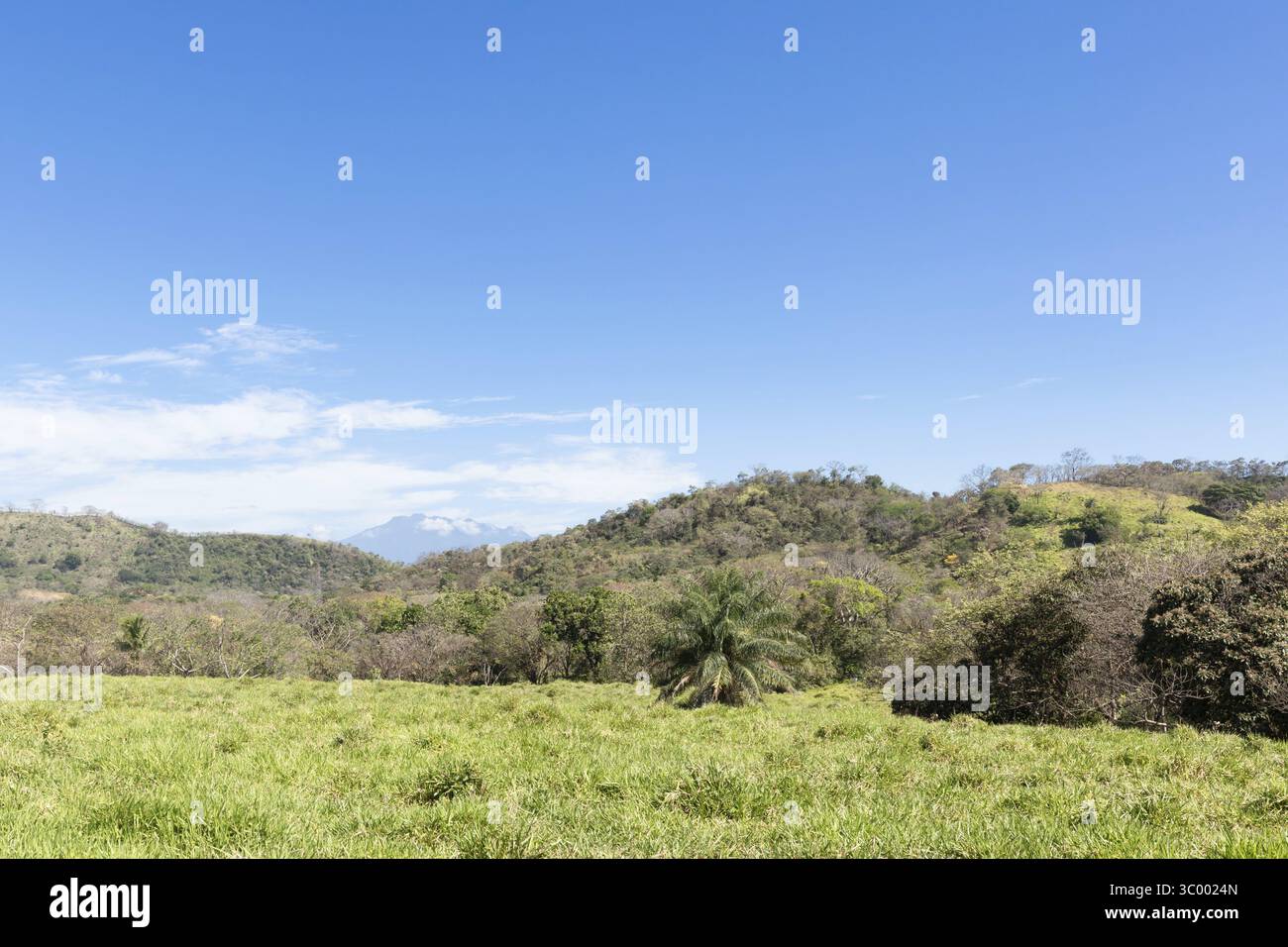 Panama David distretto, vegetazione tropicale e il vulcano Baru sullo sfondo in una giornata di sole Foto Stock