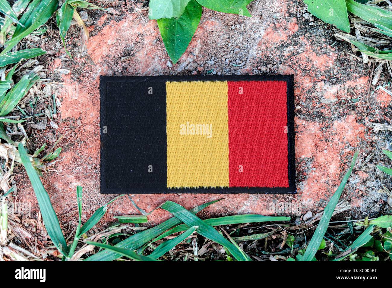 Bandiera belga ricamata su pietra antica, incorniciata da foglie ed erba. Un'immagine ecologica pacifica per la giornata della Terra, la sostenibilità e i temi legati alla natura. Foto Stock