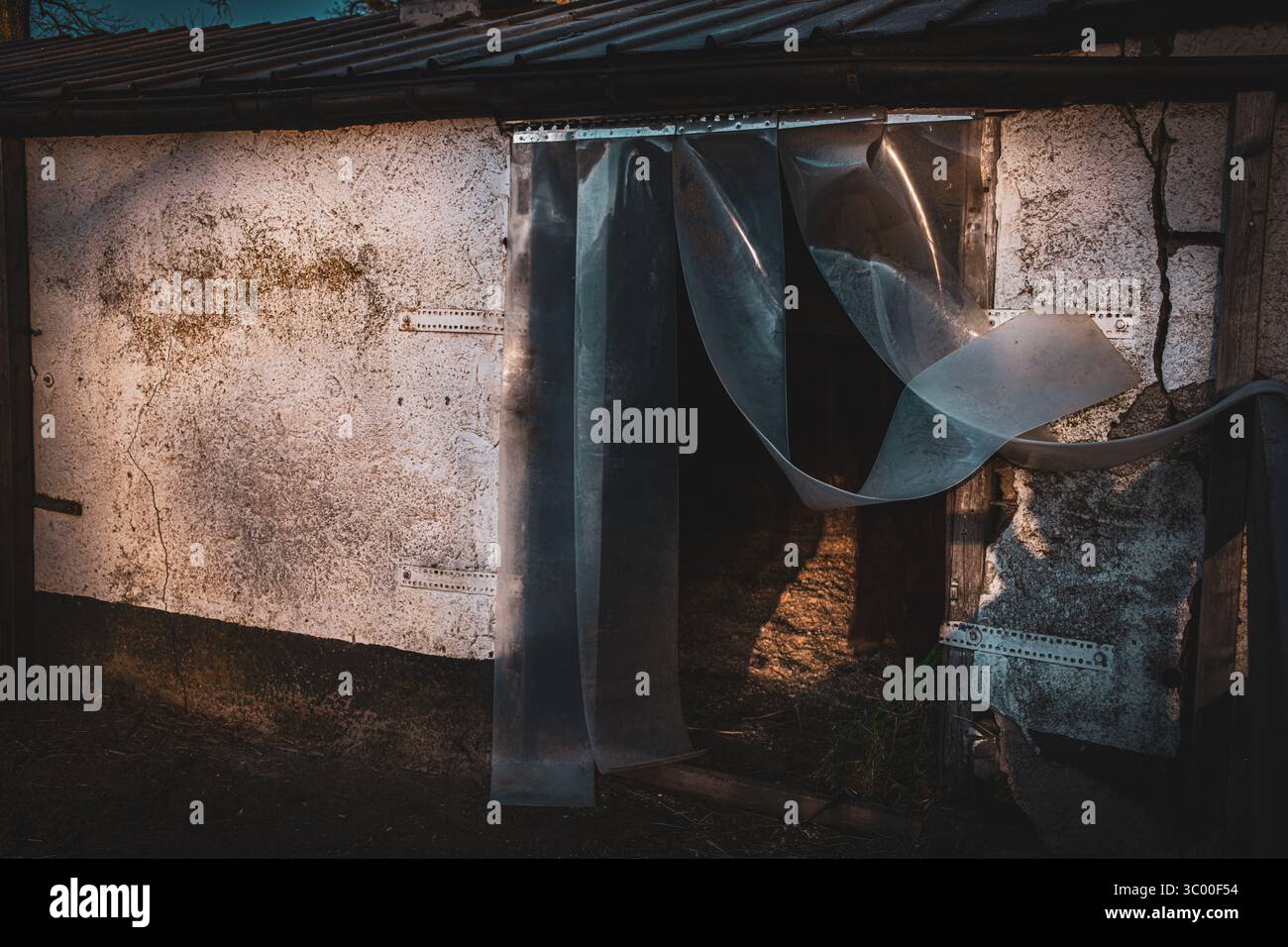 Vecchia entrata del fienile con pareti incrinate e una tenda di plastica sospesa, illuminata da una calda luce naturale. Foto Stock