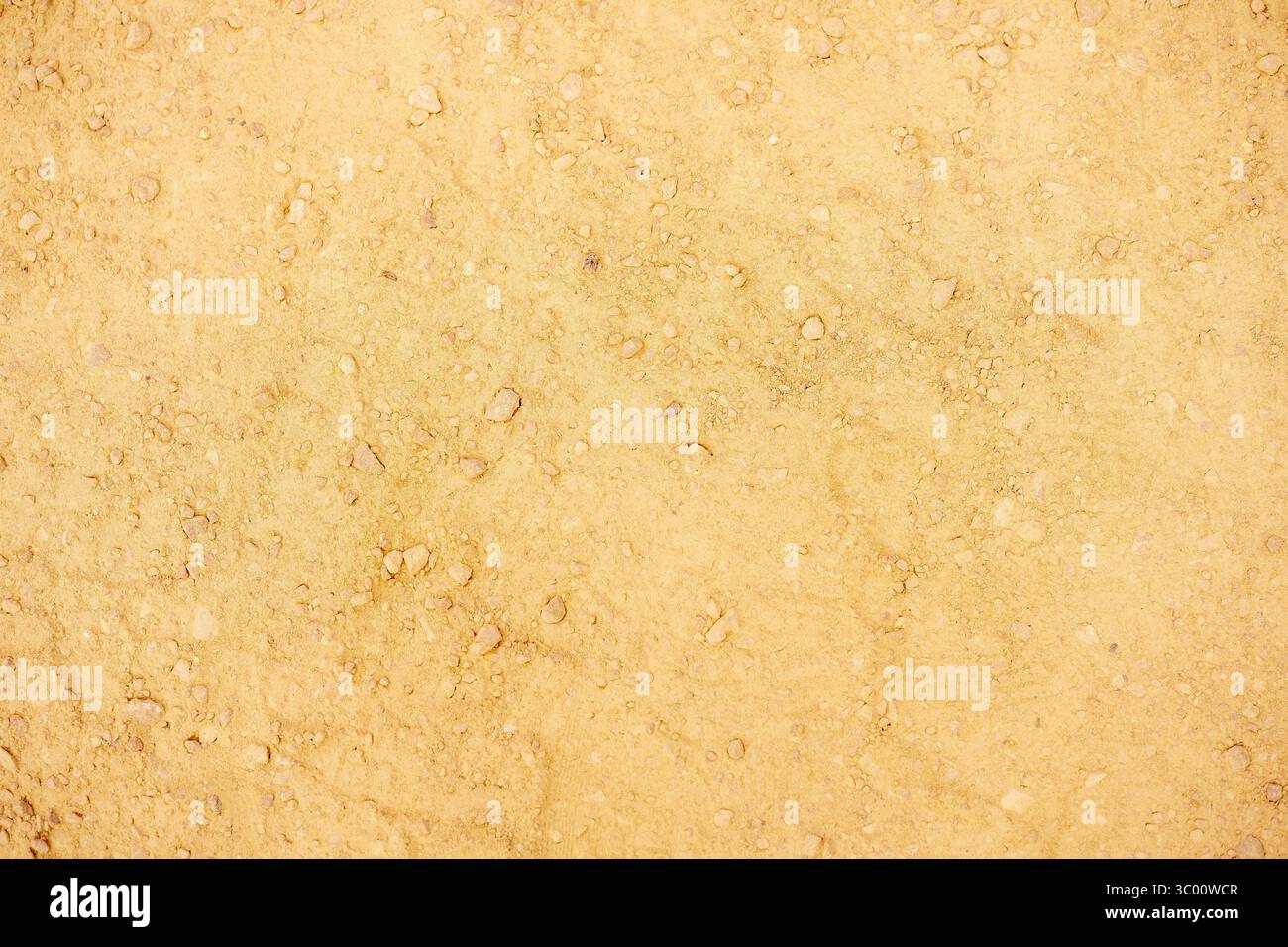 Terreno ocra secco costellato di ciottoli e sedimenti sottili che rivelano intricati motivi granulari sotto una luce naturale soffusa Foto Stock