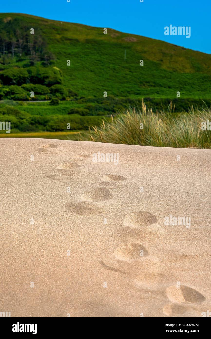 Impronte che tracciano un percorso solitario attraverso dune di sabbia riscaldate dal sole verso colline verdeggianti sotto un cielo azzurro Foto Stock