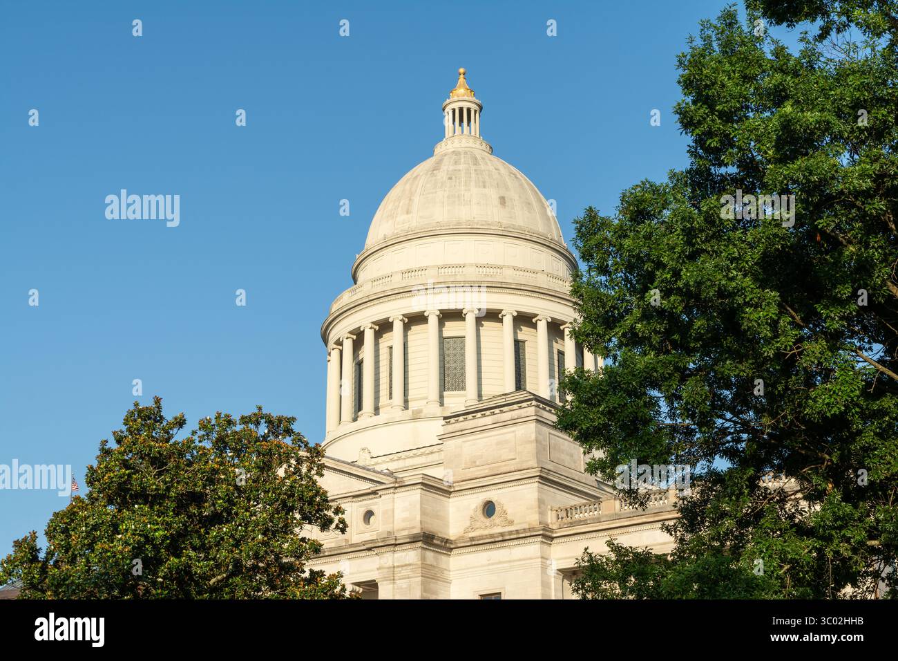Dettagli esterni dell'edificio del Campidoglio dell'Arkansas con il cielo blu alle spalle. Foto Stock