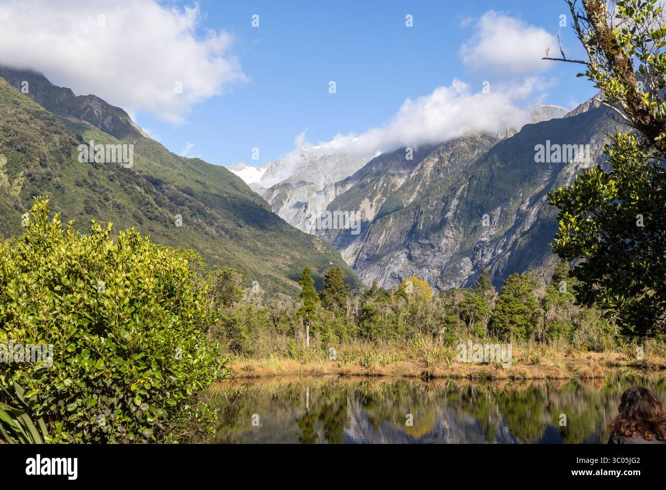 Nuova Zelanda, Peters Pool e riflesso della valle del Ghiacciaio Franz Josef e della catena montuosa, prende il nome da Peter Westland, Isola del Sud, nuova Zelanda Foto Stock