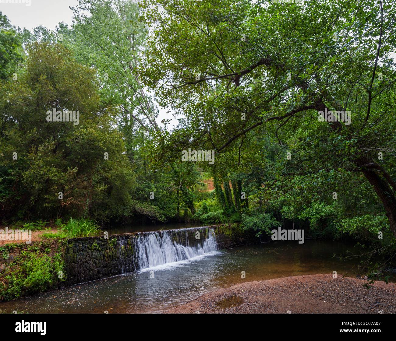 Una tranquilla foresta presenta una piccola cascata che cade su una diga di pietra, circondata da vegetazione lussureggiante e da un tranquillo corso d'acqua Foto Stock