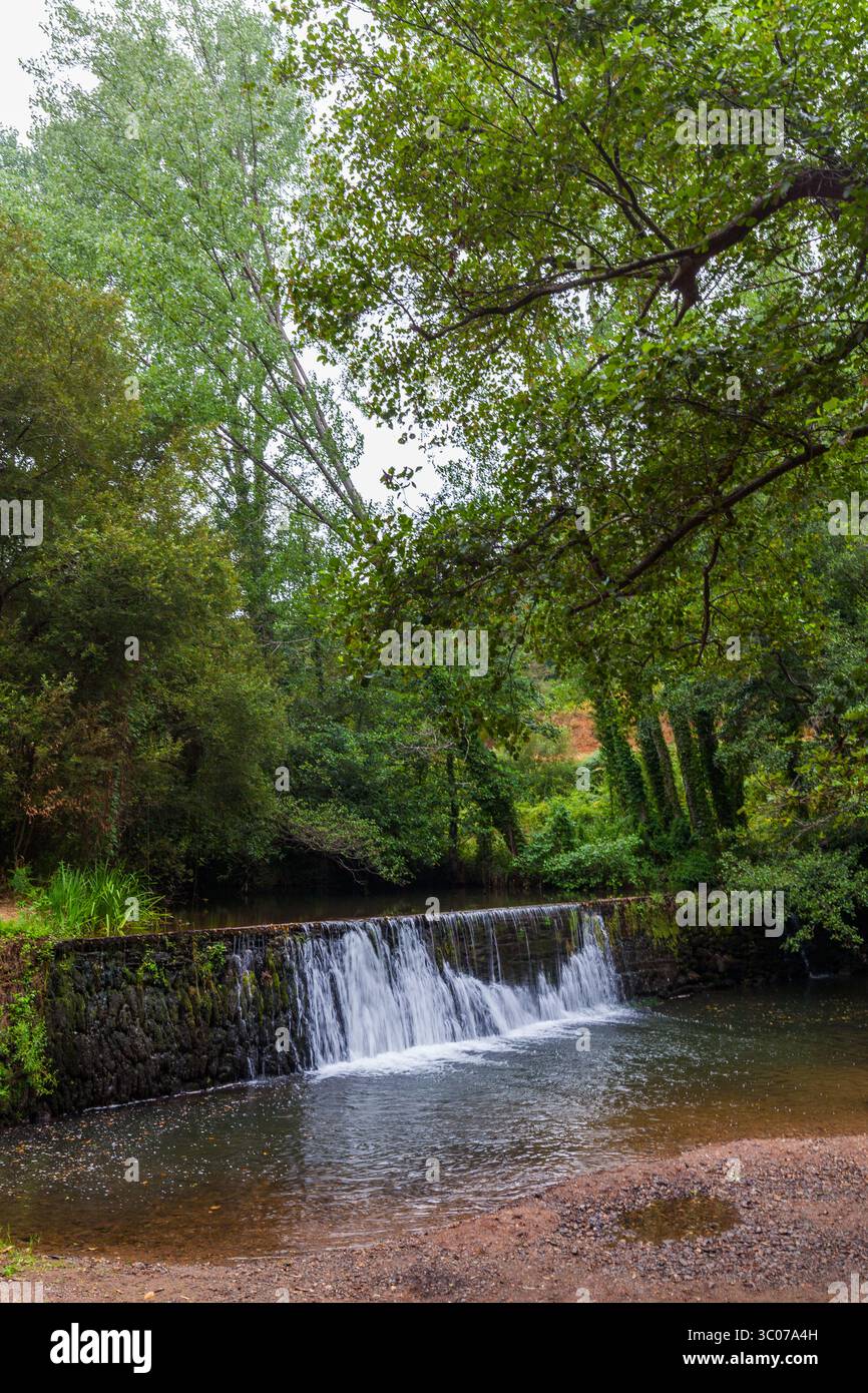 Una tranquilla foresta presenta una piccola cascata che cade su una diga di pietra, circondata da vegetazione lussureggiante e da un tranquillo corso d'acqua Foto Stock
